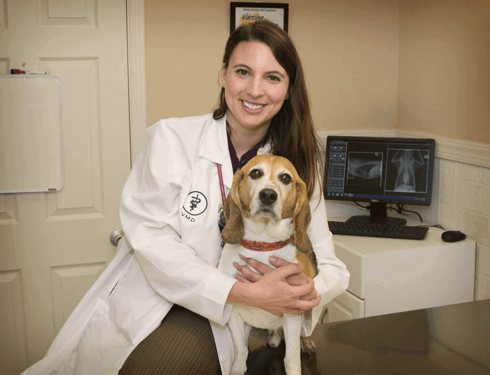 The Ultimate Guide to the Top Veterinarians in Pittsburgh Fauna Care